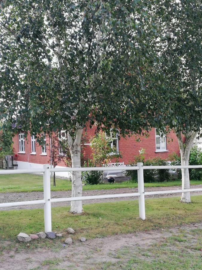 斯文堡Tankefuld Living'S Horsefarm公寓 外观 照片